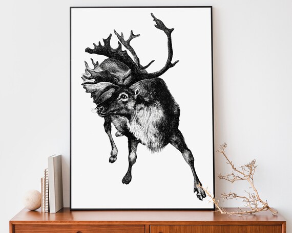Leaping Reindeer With Large Antlers Antique Black White Engraving Poster
