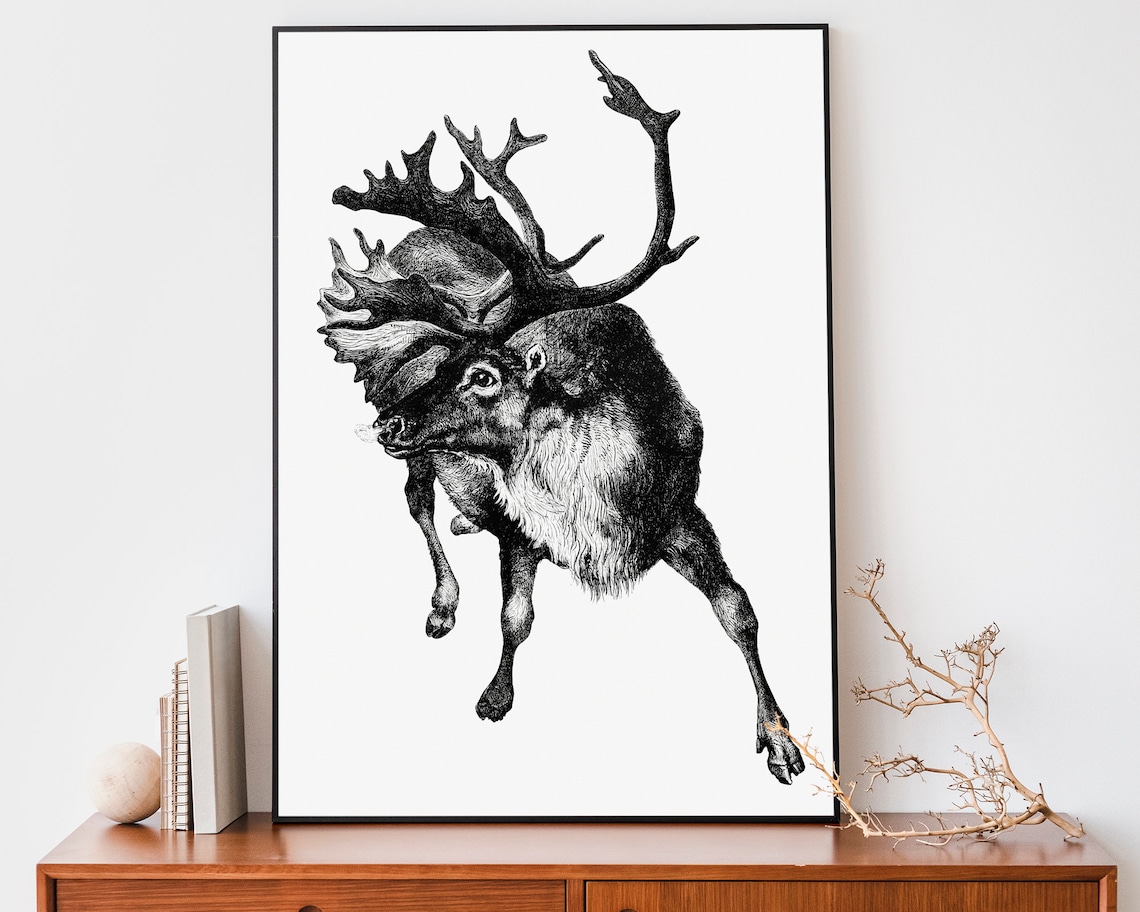 Leaping Reindeer With Large Antlers Antique Black White Engraving Poster