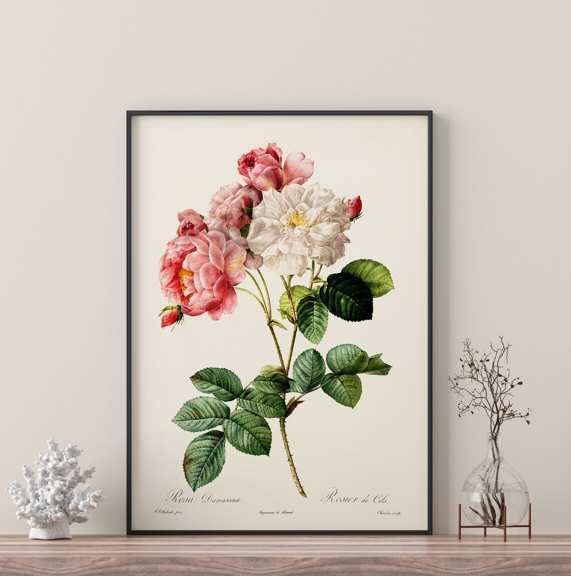 Pink And White Vintage Flower Branch Art Print