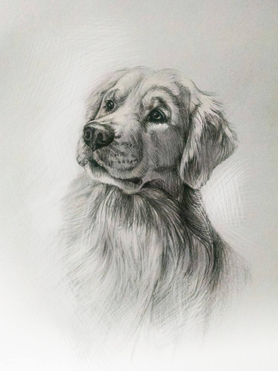 Custom Golden Retriever Pet Portrait, Dog Art
