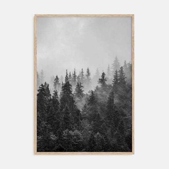Foggy Forest Photography Art Print, Black And White