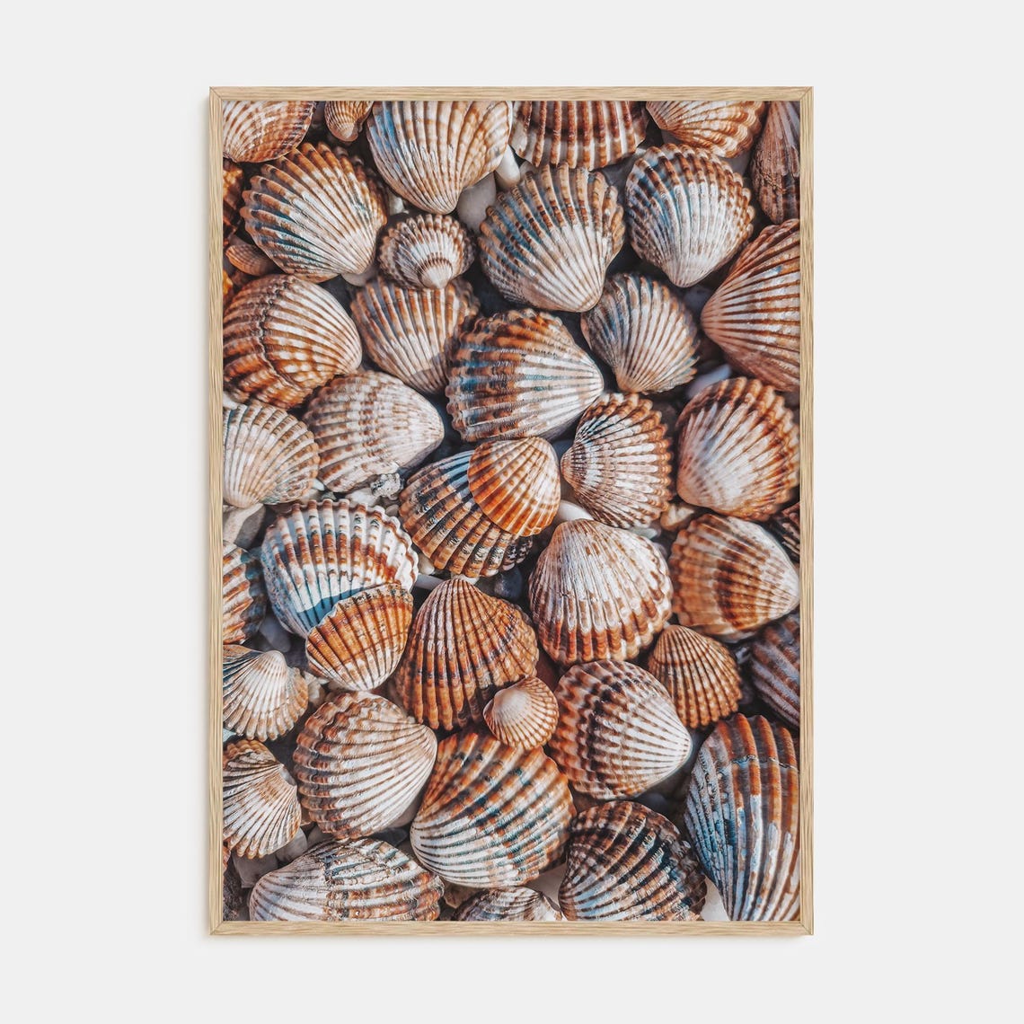 Scallop Seashells Close-Up Pattern in Warm Rustic Tones Poster