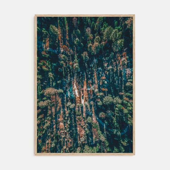 Fine Art Aerial Forest Print Stunning Color Photography Poster For Home Decor Nature Lovers