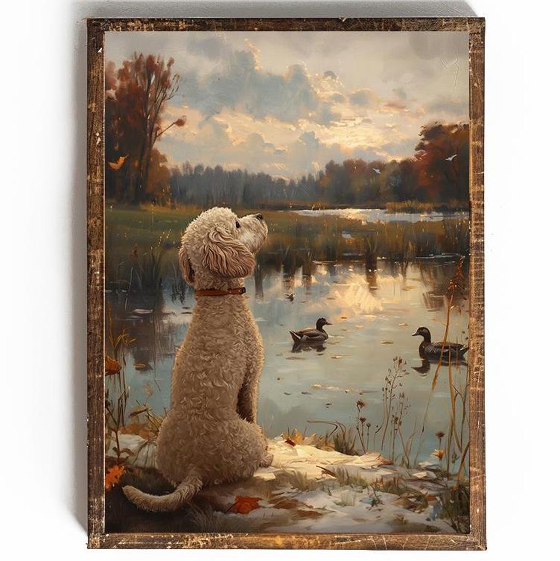 Cream Poodle Watching Ducks On Sunset Pond Autumn Landscape Poster
