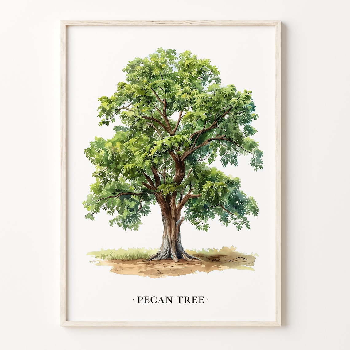 Pecan Tree Botanical Art Print, Rustic Farmhouse Decor
