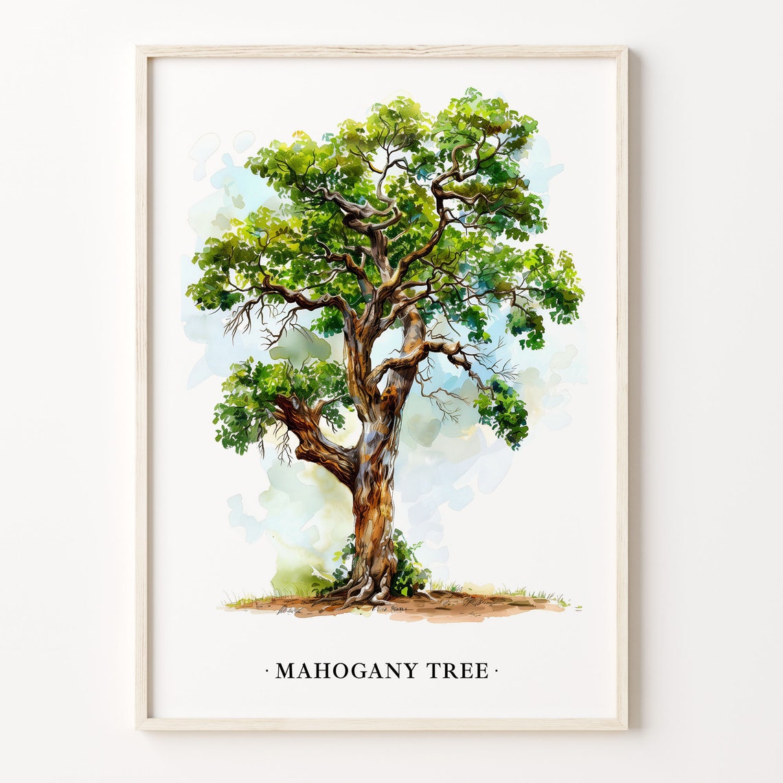 Mahogany Tree Watercolor Botanical Illustration Nature Art Poster