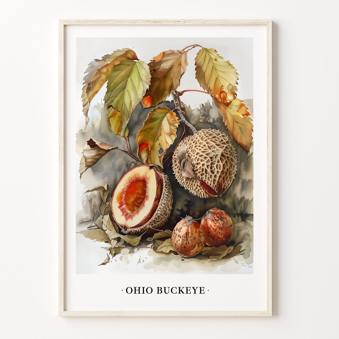 Ohio Buckeye Botanical Watercolor Autumn Nut Harvest Decor Poster
