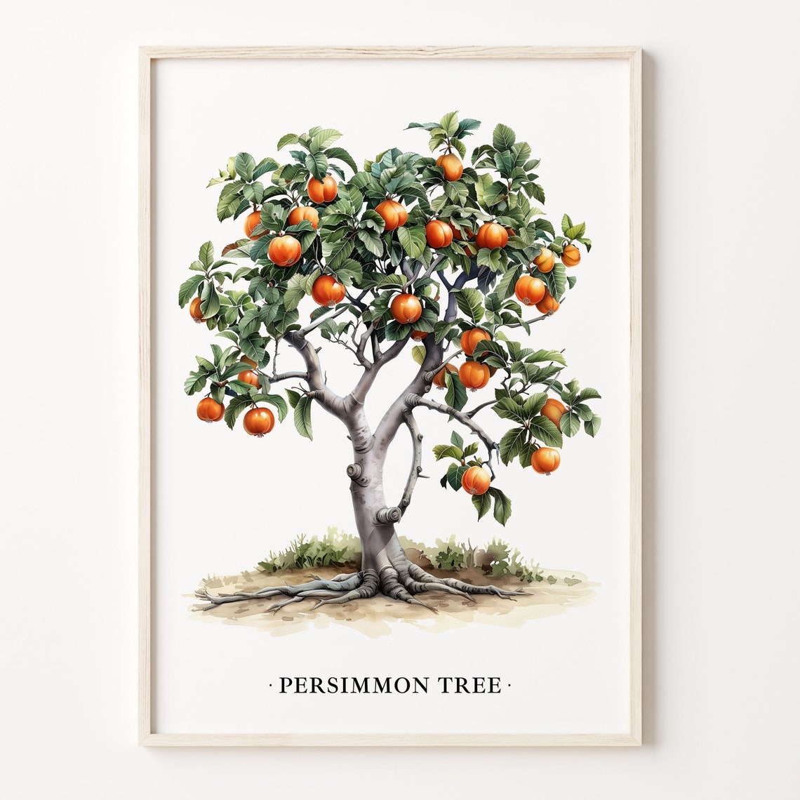 Persimmon Tree Botanical Watercolor Fruit Tree Kitchen Decor Poster