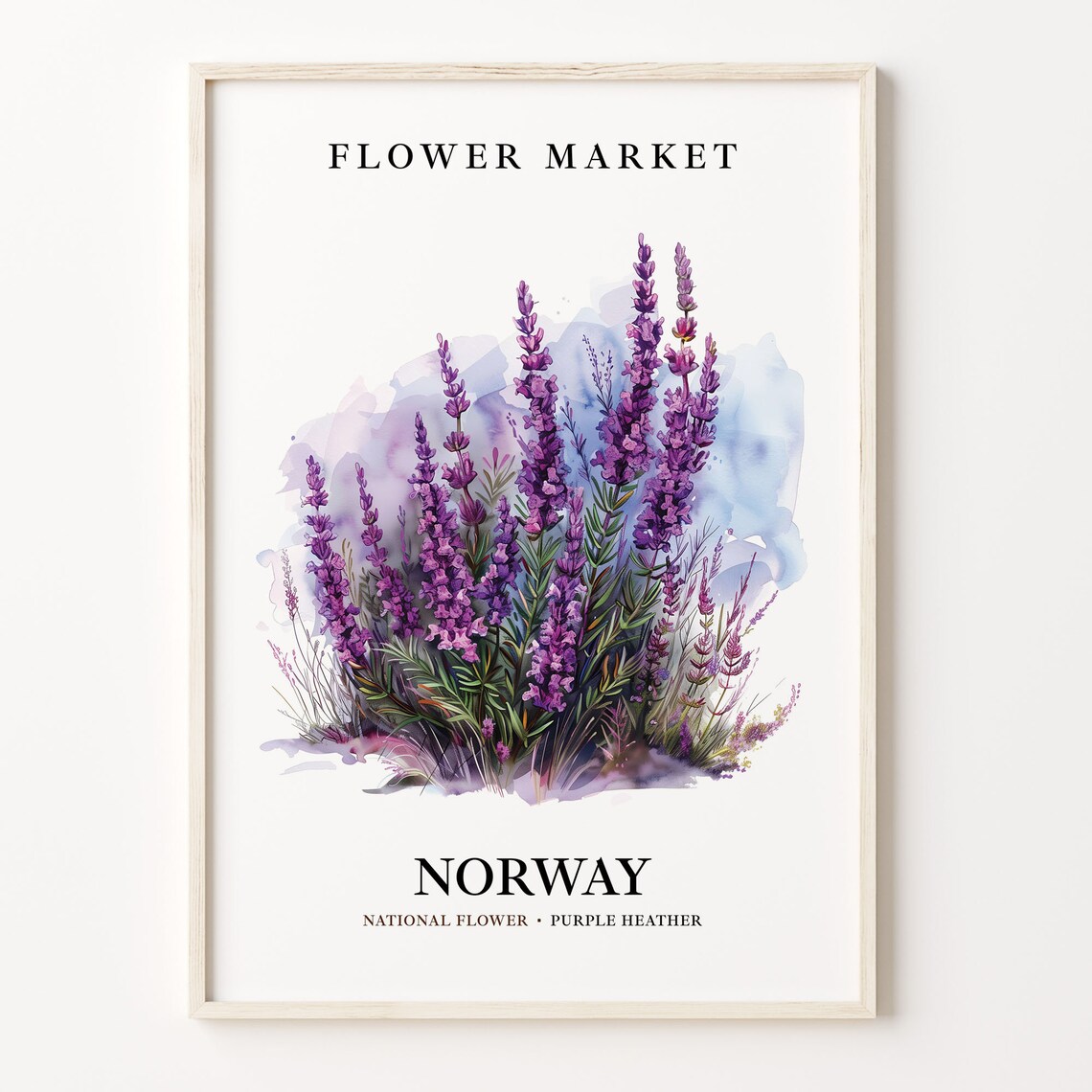 Norway National Flower 1960s Wall Art Print