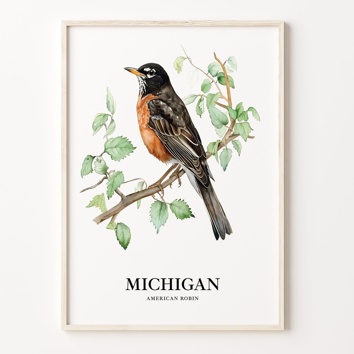 Michigan State Bird Art Print, Nature Artwork