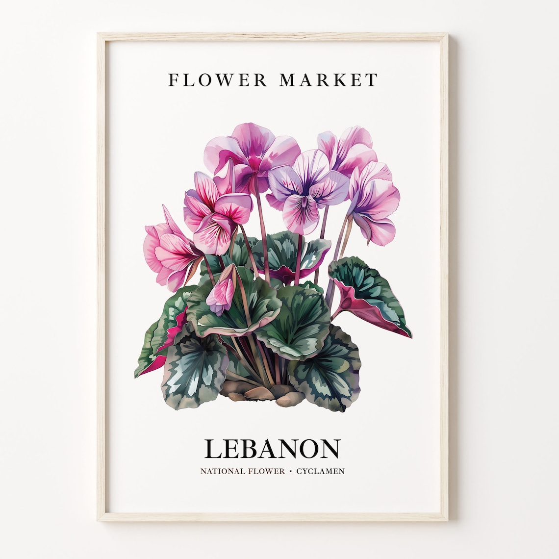 Lebanon National Flower Cyclamen Botanical Art Print