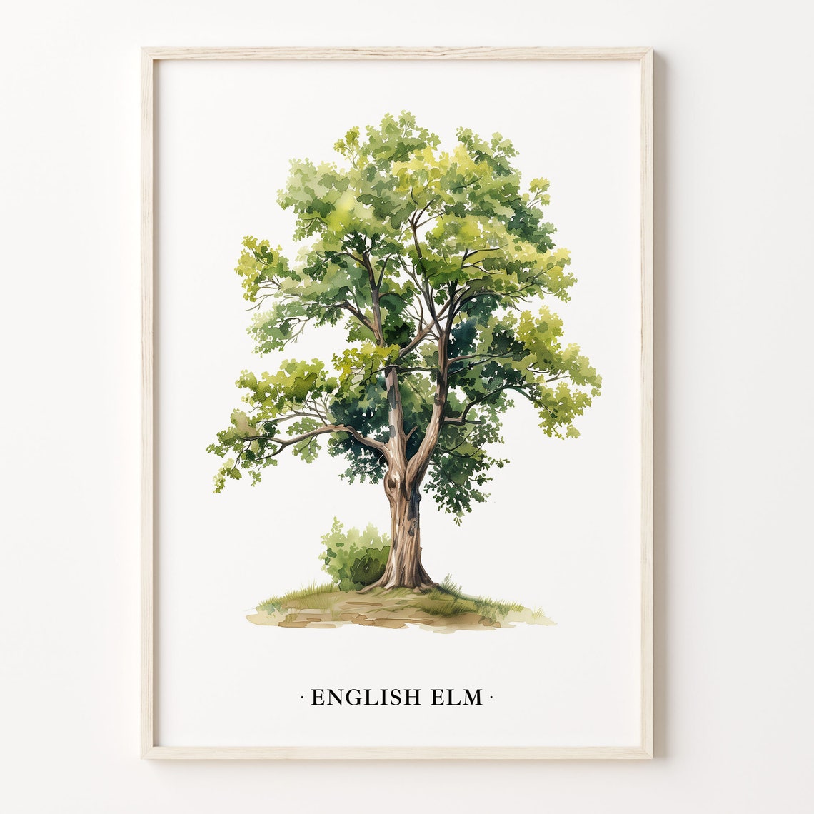 English Elm Tree Watercolor Botanical Wall Decor Nature Poster