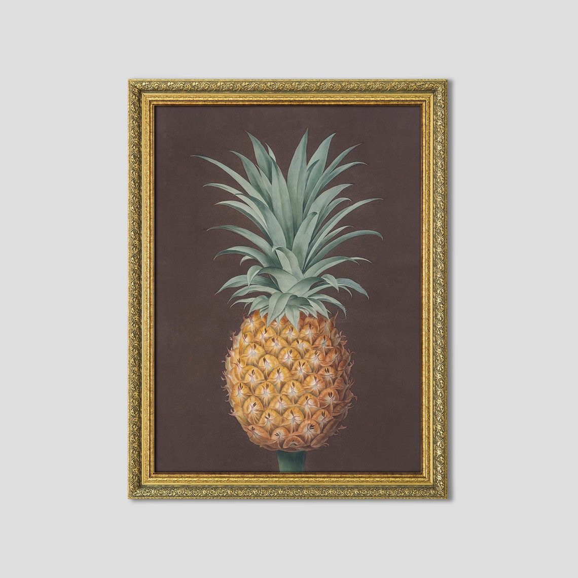 Antique Pineapple Botanical Still Life Moody Dark Background Poster - Image 3