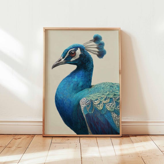 Blue Peacock Wall Art Print Realistic Bird Portrait Poster Design Elegant Nature Animal Unframed Decor Regal Wildlife Illustration