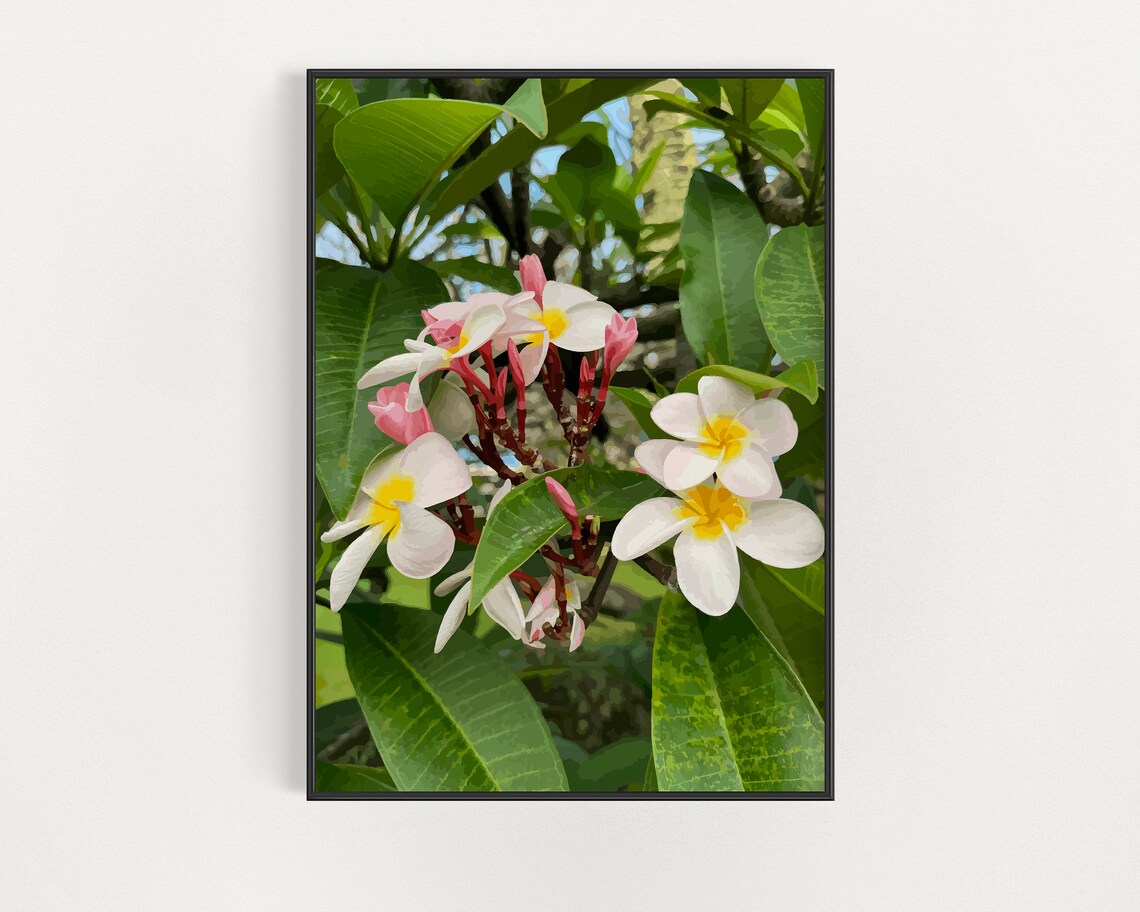 Botanical Hawaiian Lei Plumeria Flower Art Print