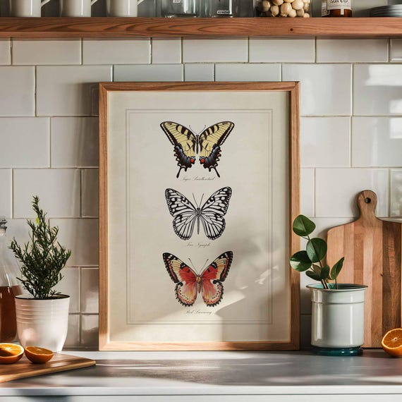 Vintage Butterfly Print Swallowtail Tree Nymph Red Lacewing Vintage Oil Painting Wall Art