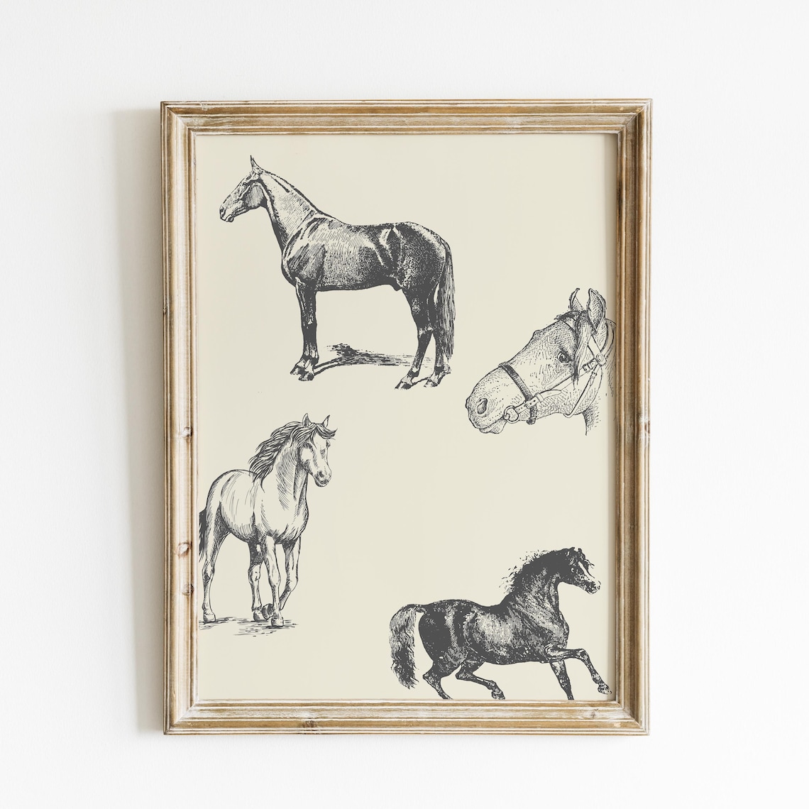 Charcoal Horse Illustration Art Print, Vintage Equestrian - Image 2