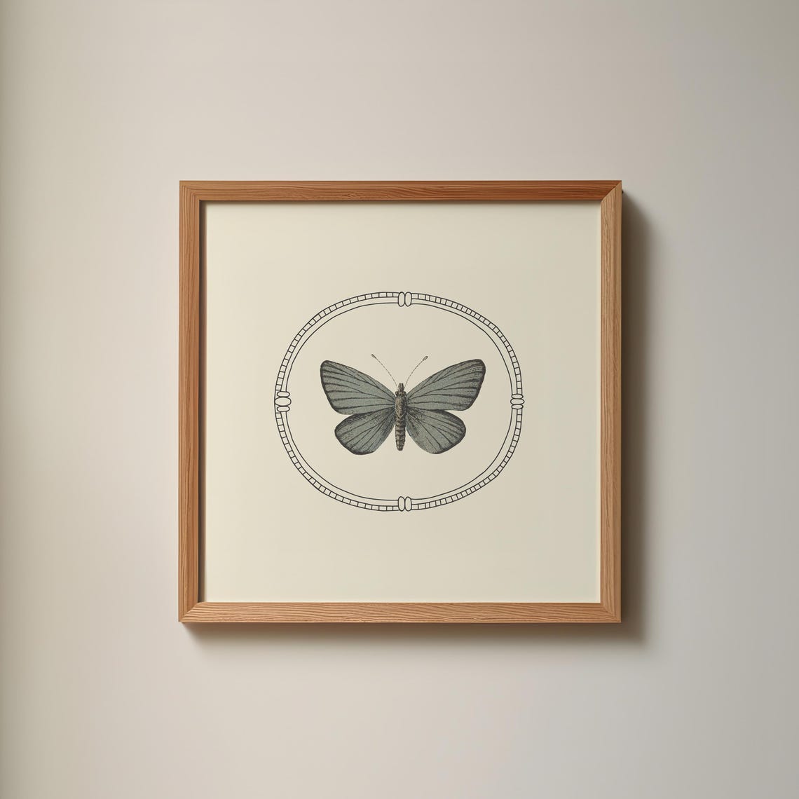 Gray Butterfly Vintage Oval Line Frame Illustration Art Print