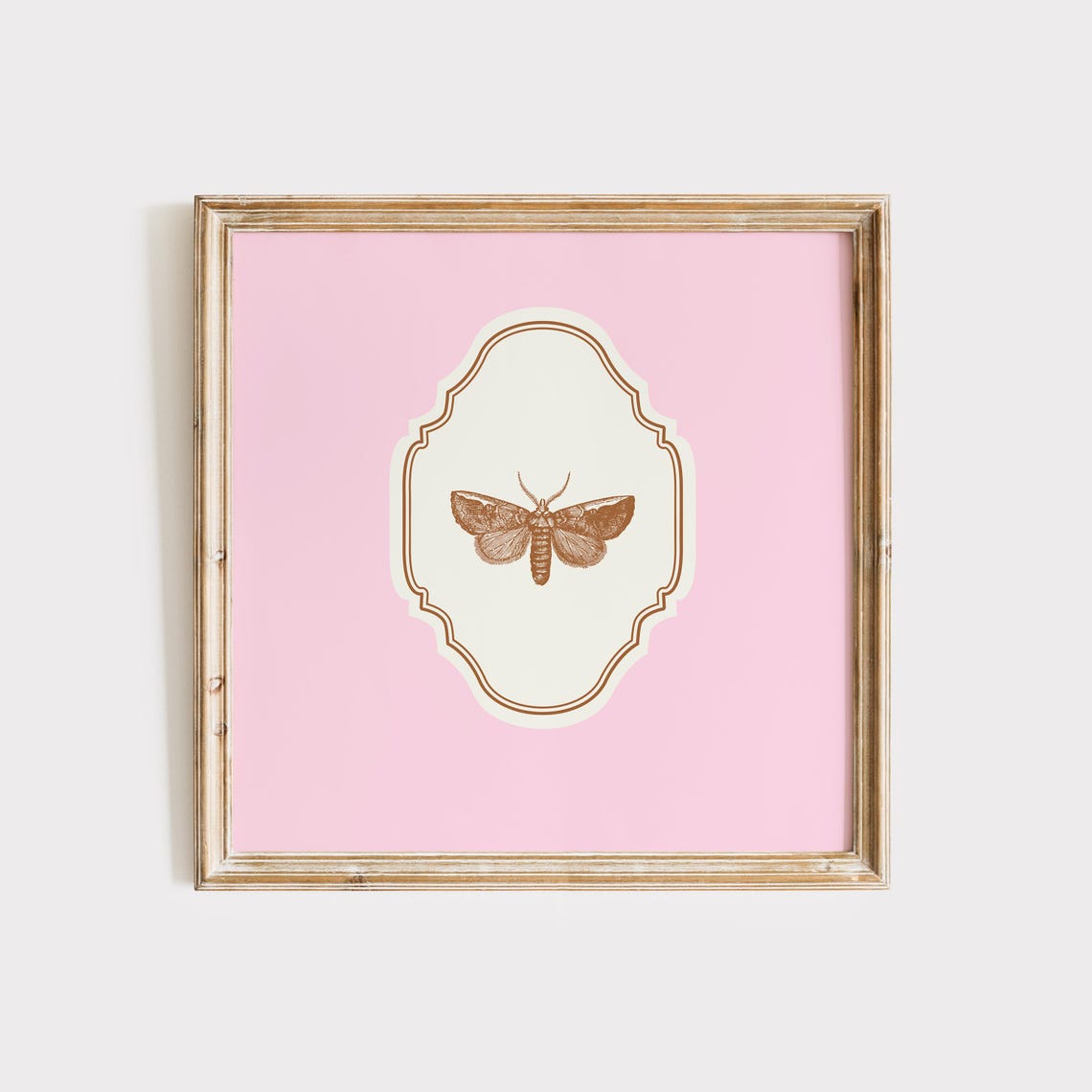 Pink Square Vintage Moth Engraving Ornate Entomology Art Poster - Image 3