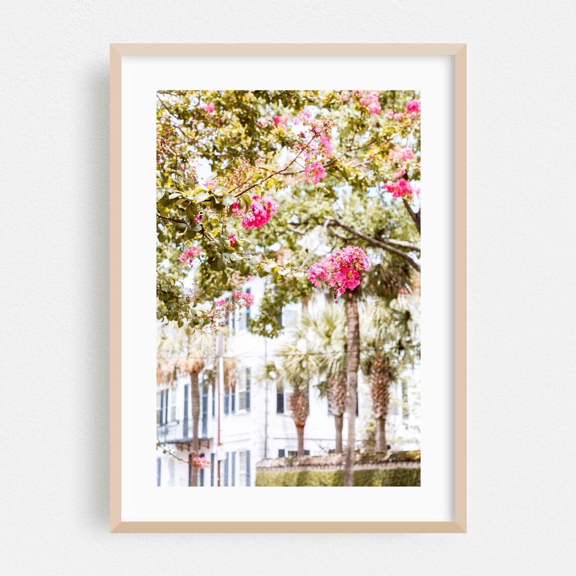 Charleston Pink Crepe Myrtle Blossom Street Southern Charm Poster