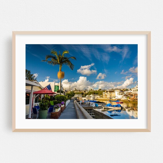 Newport Beach Harbor Palm Trees Boats Sunny Day Photo Poster