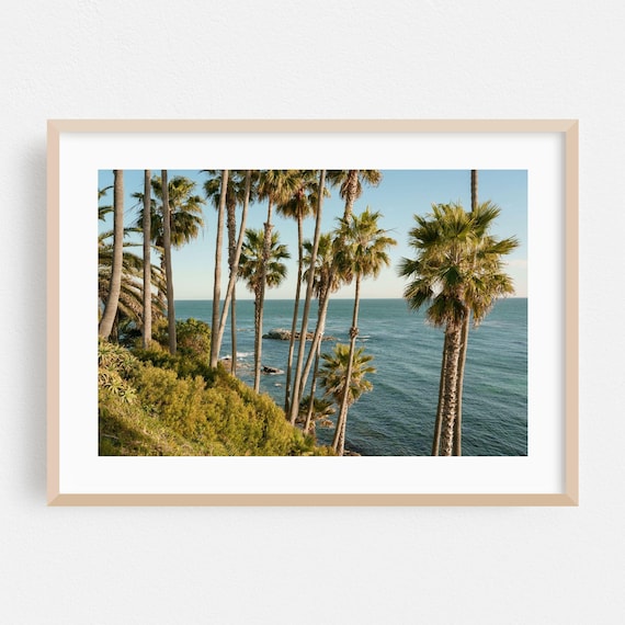 Laguna Beach Tall Palm Trees Ocean View Coastal Scenery Poster