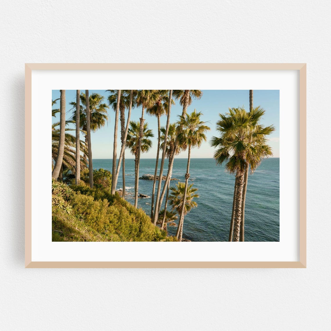 Laguna Beach Tall Palm Trees Ocean View Coastal Scenery Poster