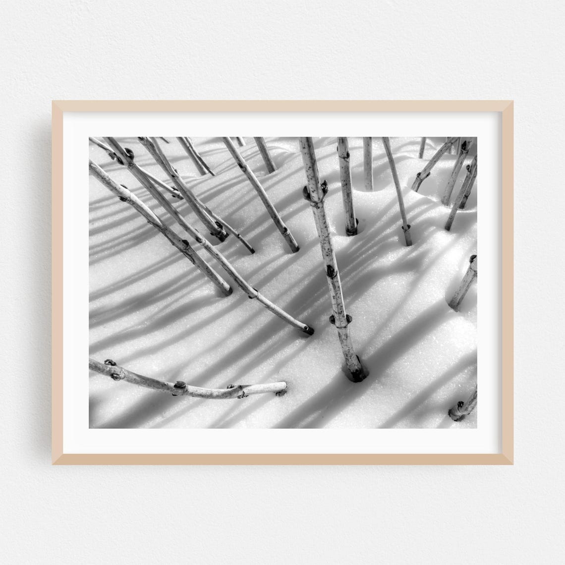 Winter Stems in Snow Black and White Minimal Abstract Poster
