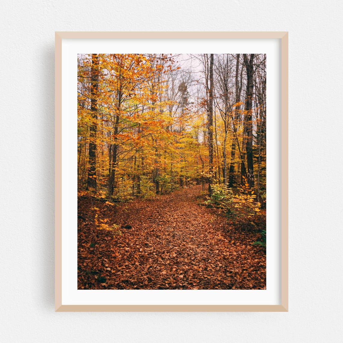 Autumn Forest Path Covered In Golden Fallen Leaves Nature Poster