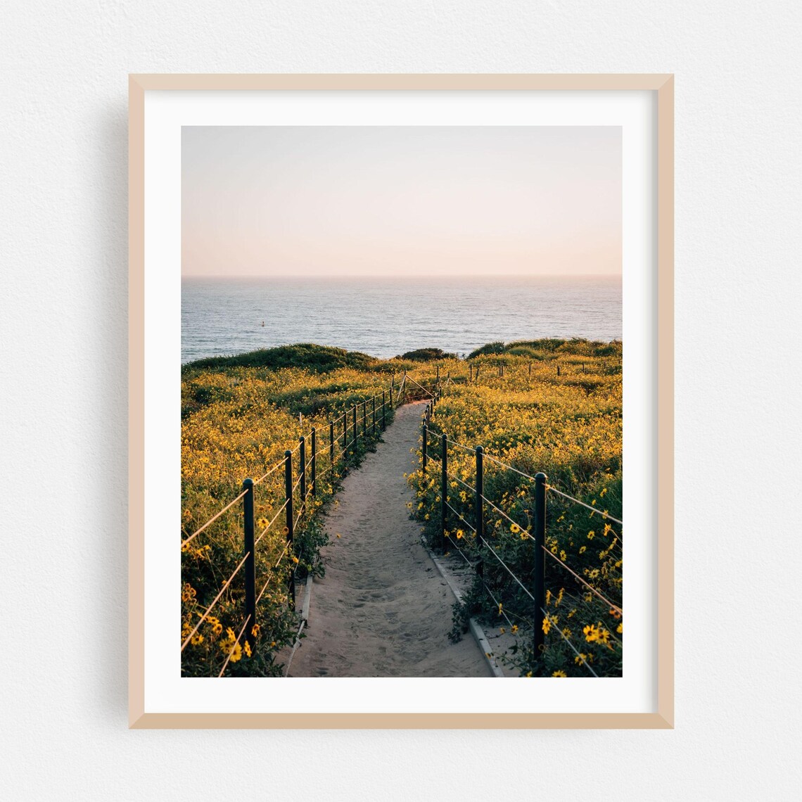 Coastal Wildflower Path Leading to the Sea Photography Poster