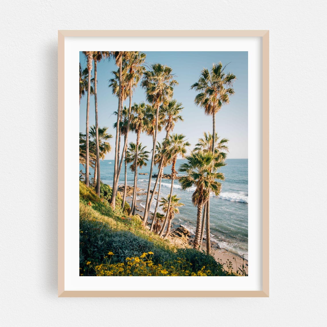 Palm Trees On Coastal Cliff Above Ocean California Photo Poster