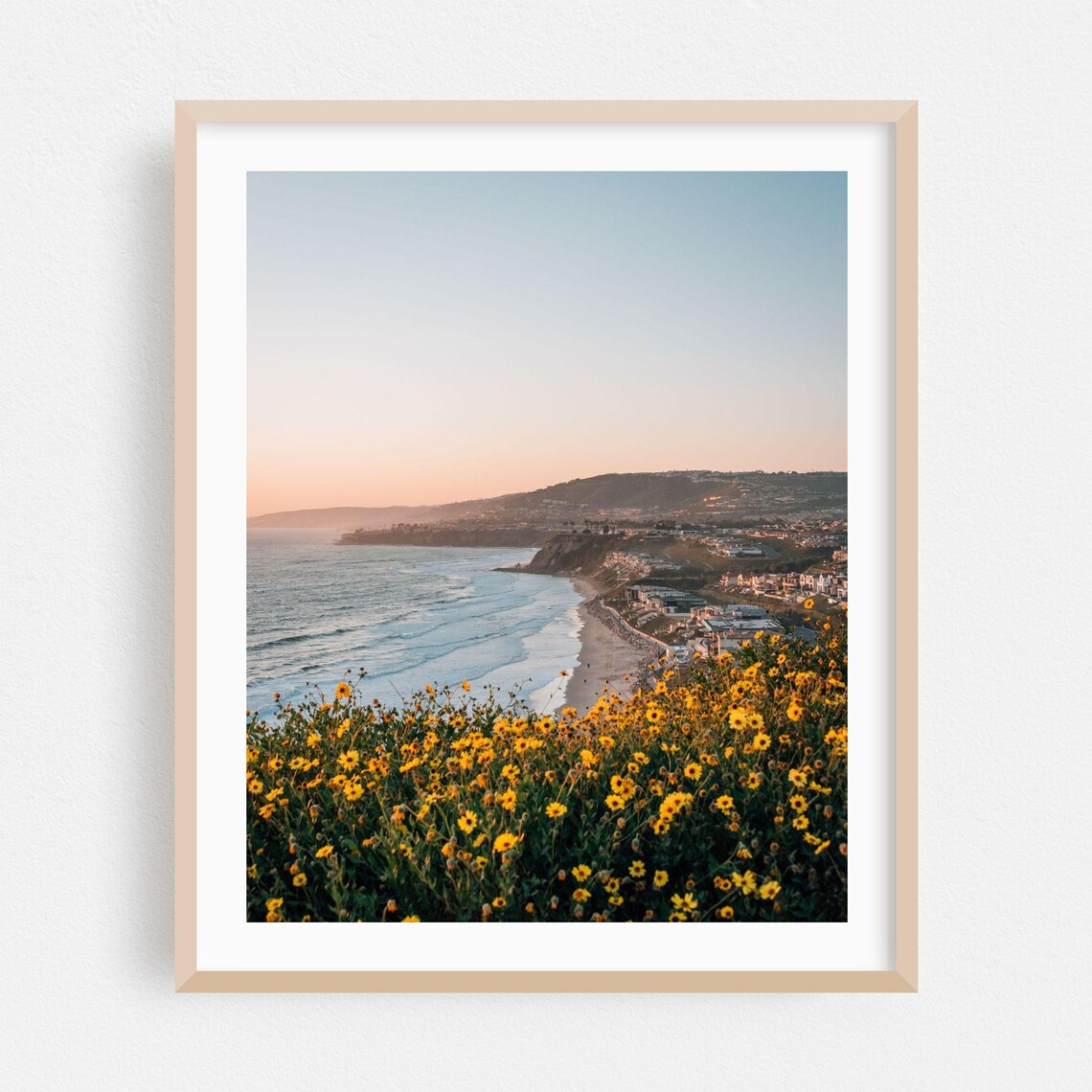 Dana Point Wildflower Cliff Sunset Overlook Photography Poster