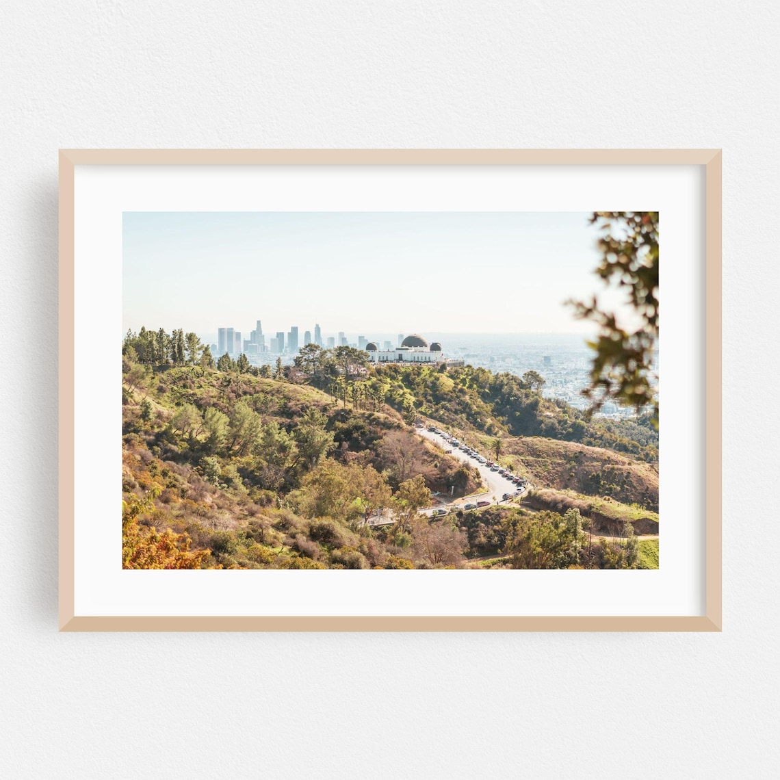 Los Angeles Griffith Observatory Downtown Skyline Hillside Photo Poster
