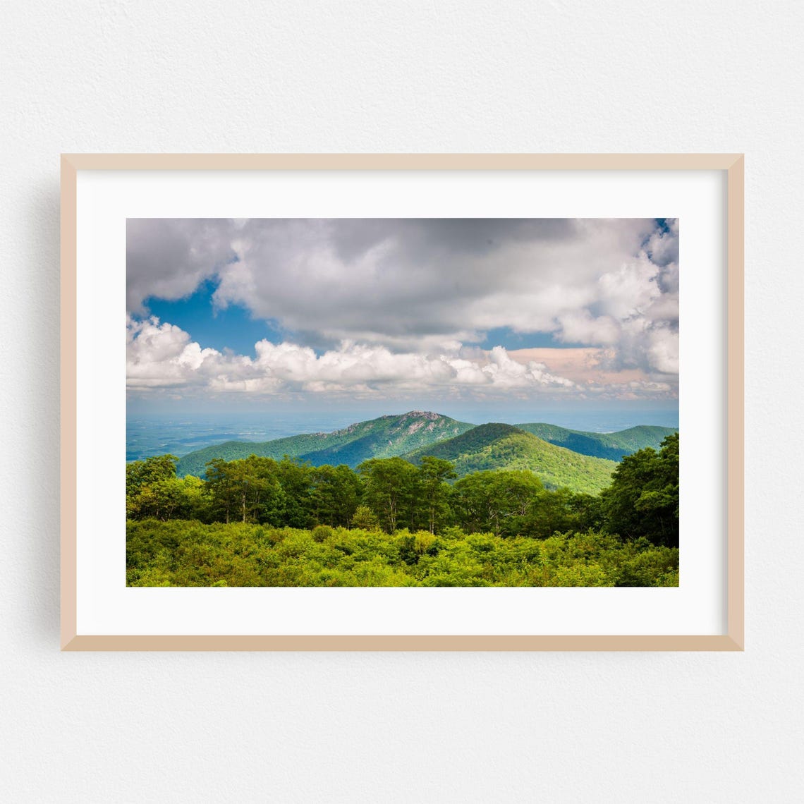 Virginia Blue Ridge Summer Mountain Forest Landscape Photo Poster