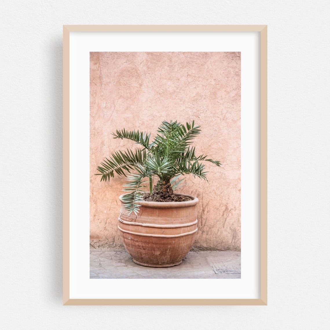Potted Palm Terracotta Pot Pink Moroccan Wall Botanical Photo Poster
