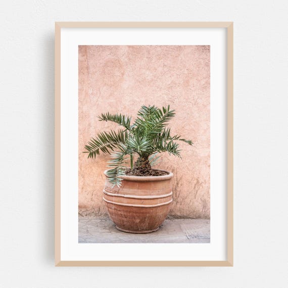 Marrakesh Print Marrakeshsafi Wall Art Morocco Framed Botanical Home Decor Palm Tree Poster Tropical Fine Desert Minimalist