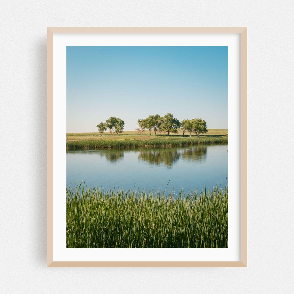 Commerce City Colorado Tranquil Lake Photography Poster With Reeds
