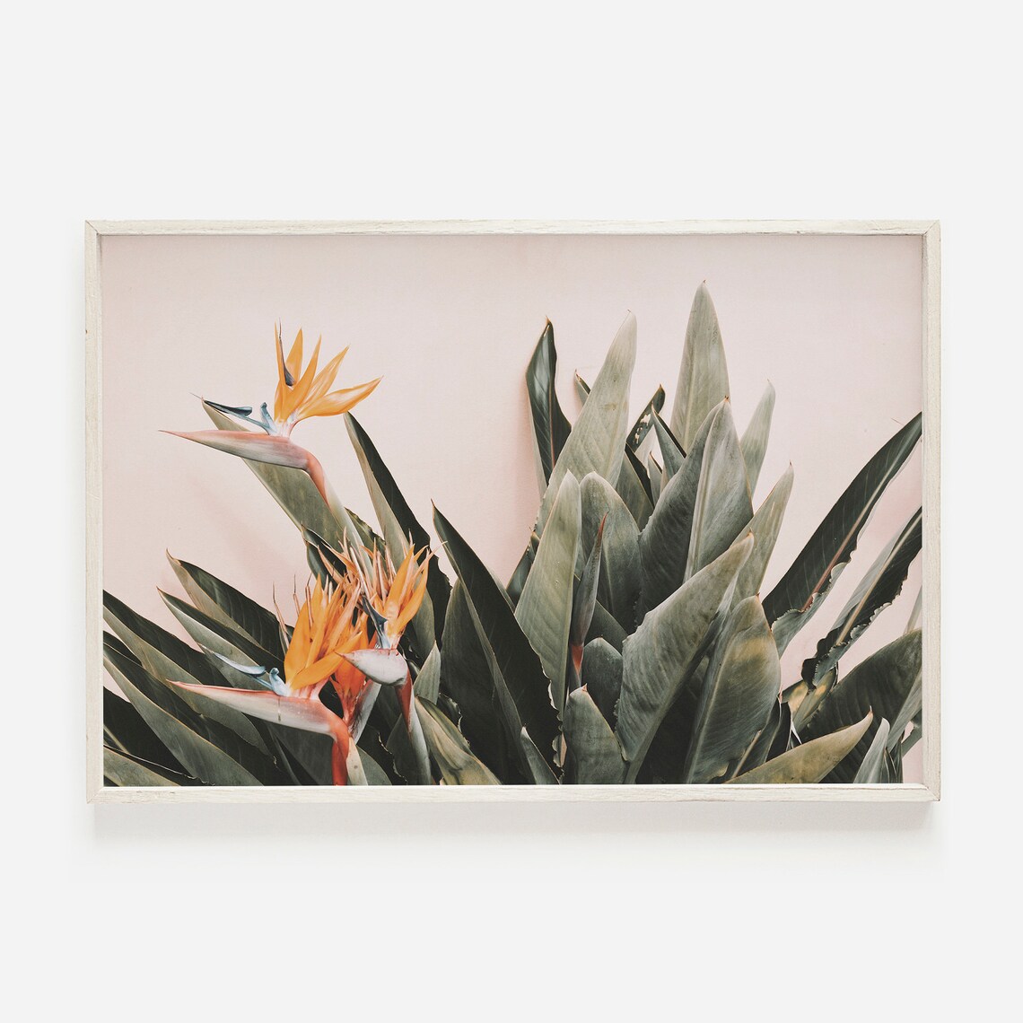 Floral Tropical Birds of Paradise Art Print