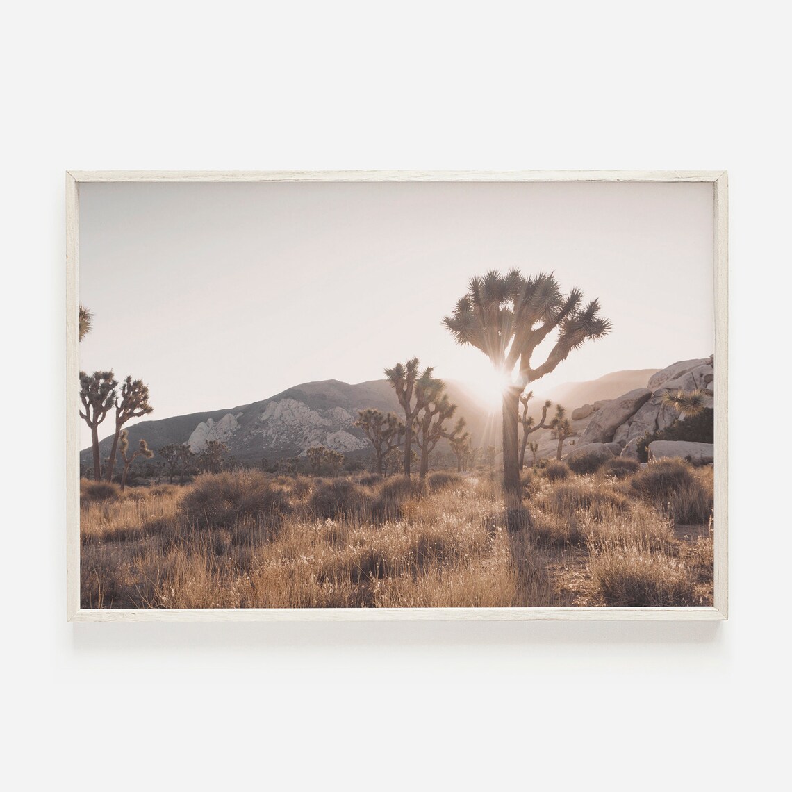 Joshua Tree Desert Modern Boho Art Print