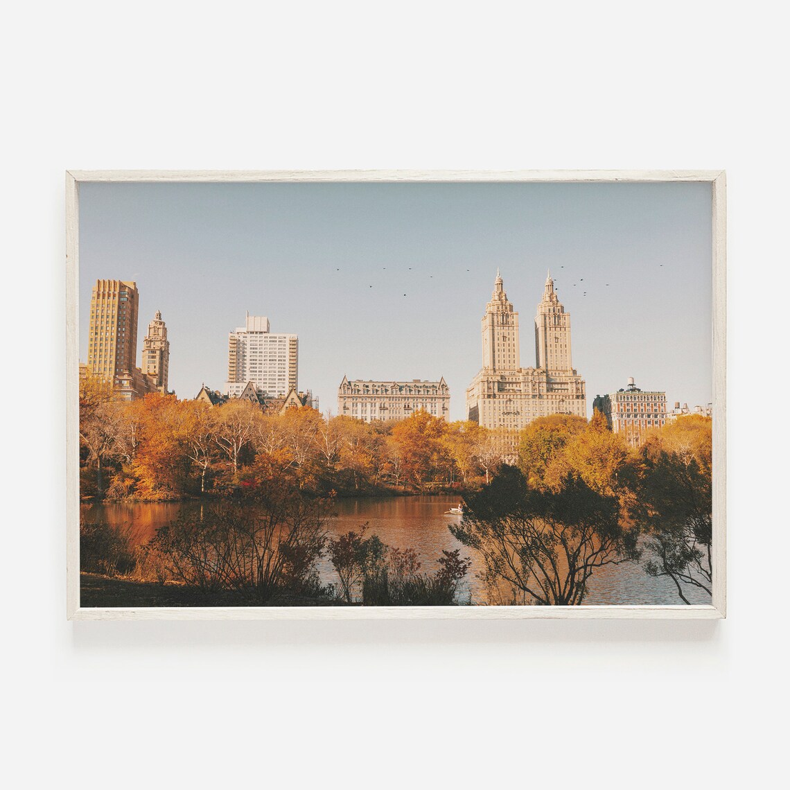 Central Park New York Fall Travel Poster