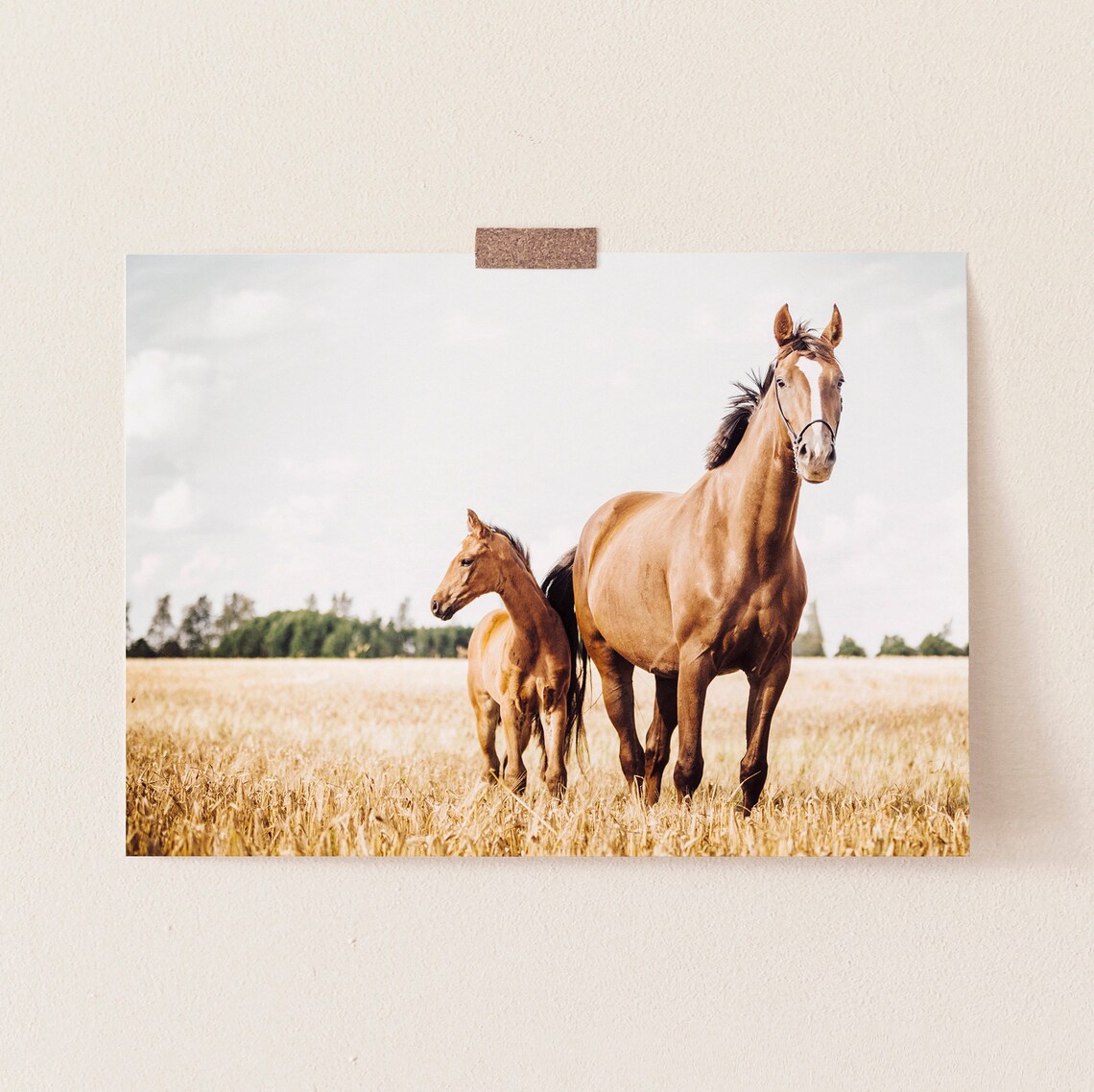 Horse Wall Art, Horses In Field Farmhouse Art Print - Image 3