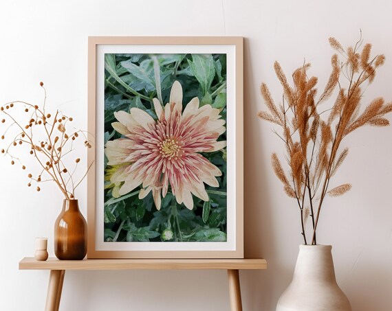 Mum Flower Art Print