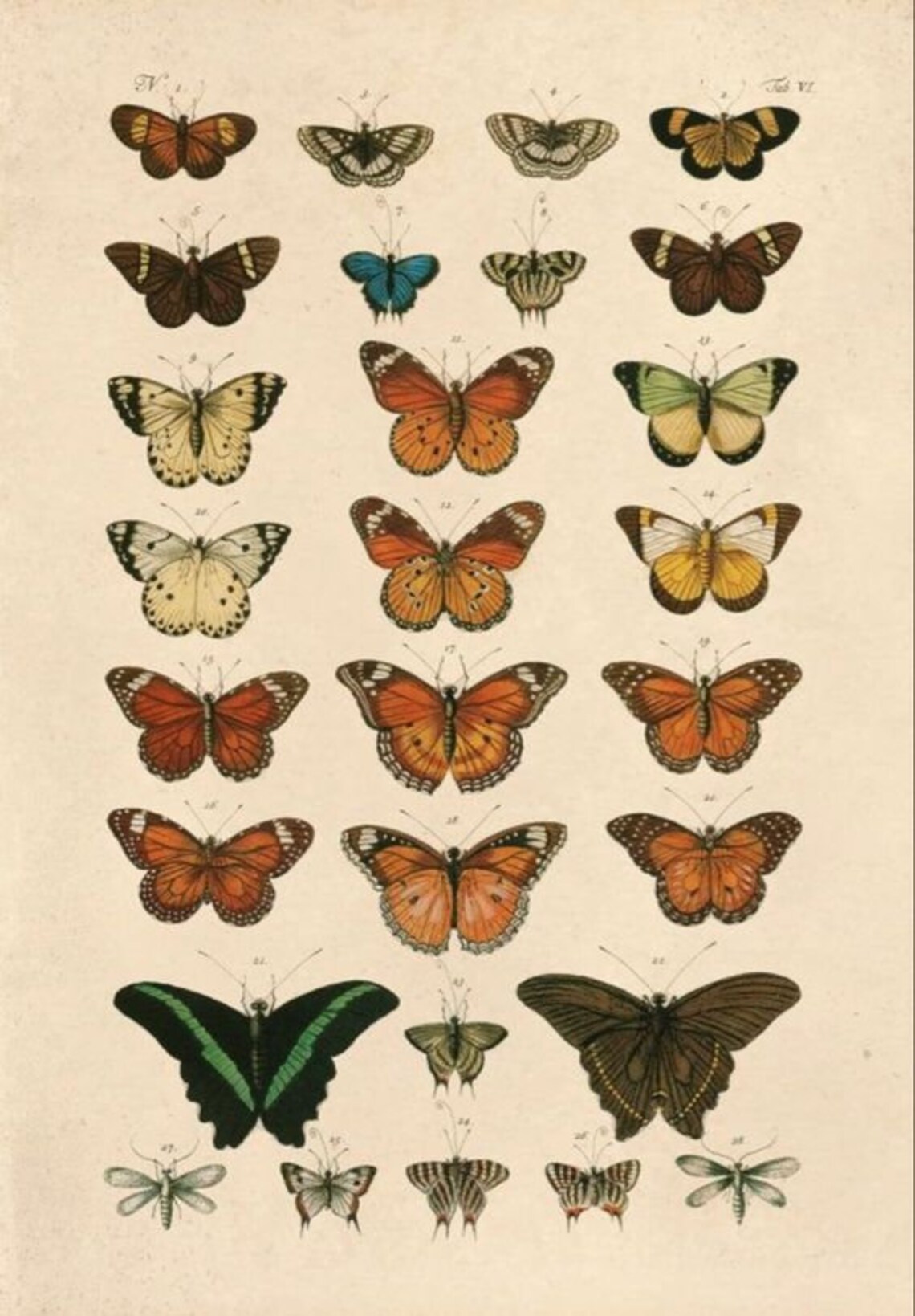 Butterflies Vintage Art Deco Poster Art Print - Image 3