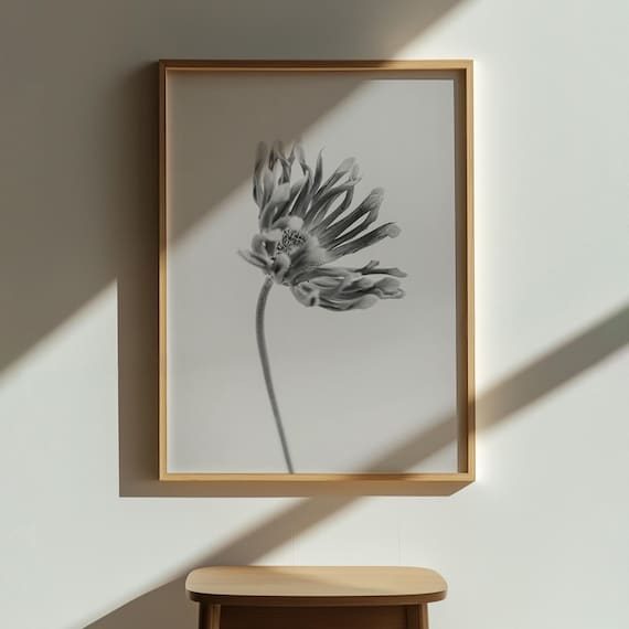 Black and White Flower Photo Minimalist Botanical Monochrome Wall Art