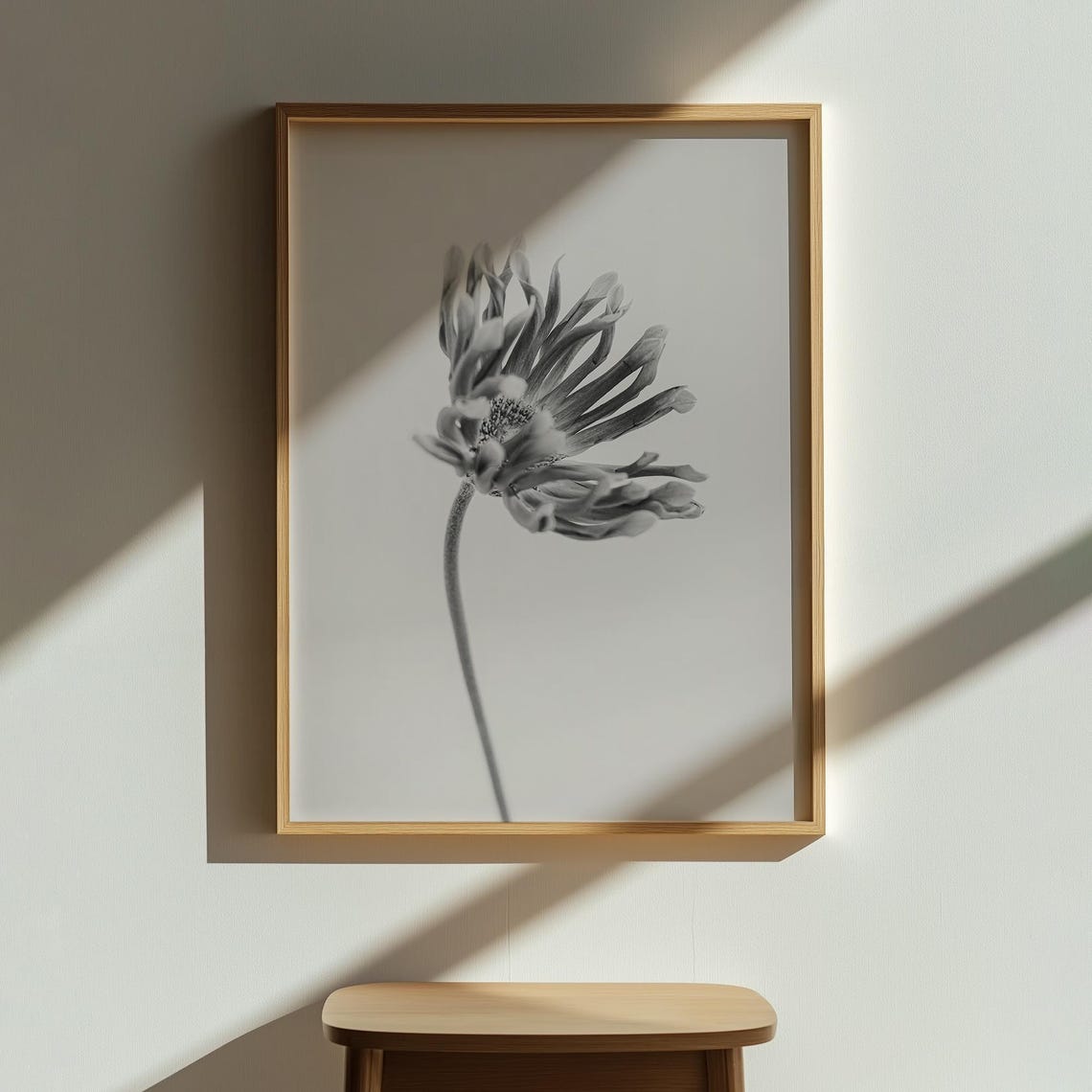 Black and White Flower Photo Minimalist Botanical Monochrome Wall Art