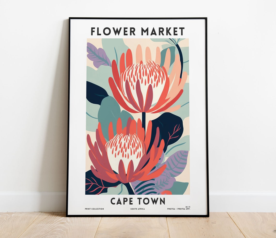Cape Town Flower Market Protea Bloom Botanical Illustration Poster