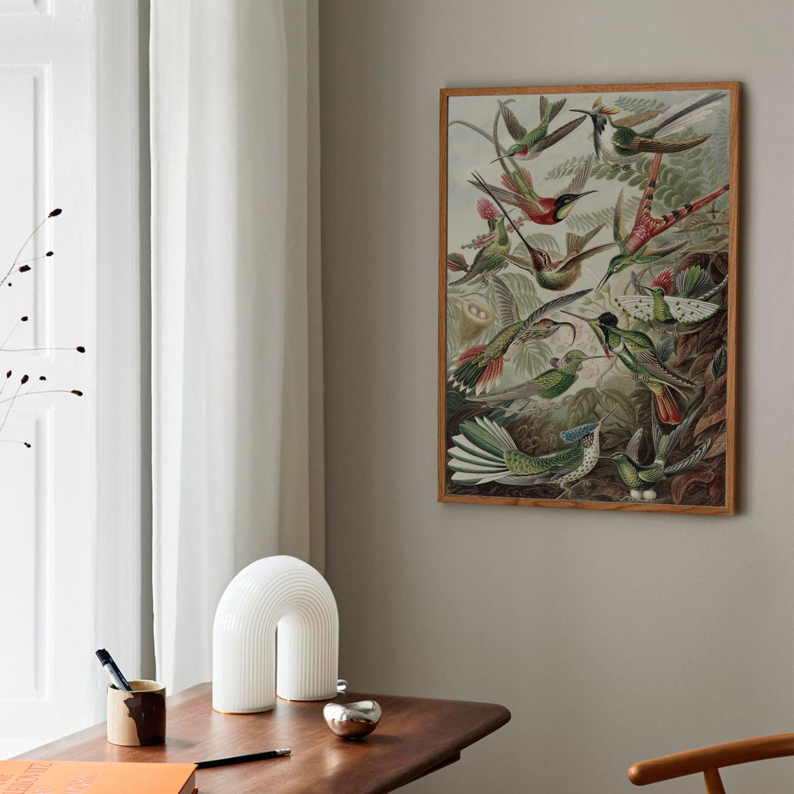 Hummingbird Art Print Bird Scientific Illustration Antique Vintage Painting Wall Art Delicate Hummingbird Painting Living Room Decor - Image 3