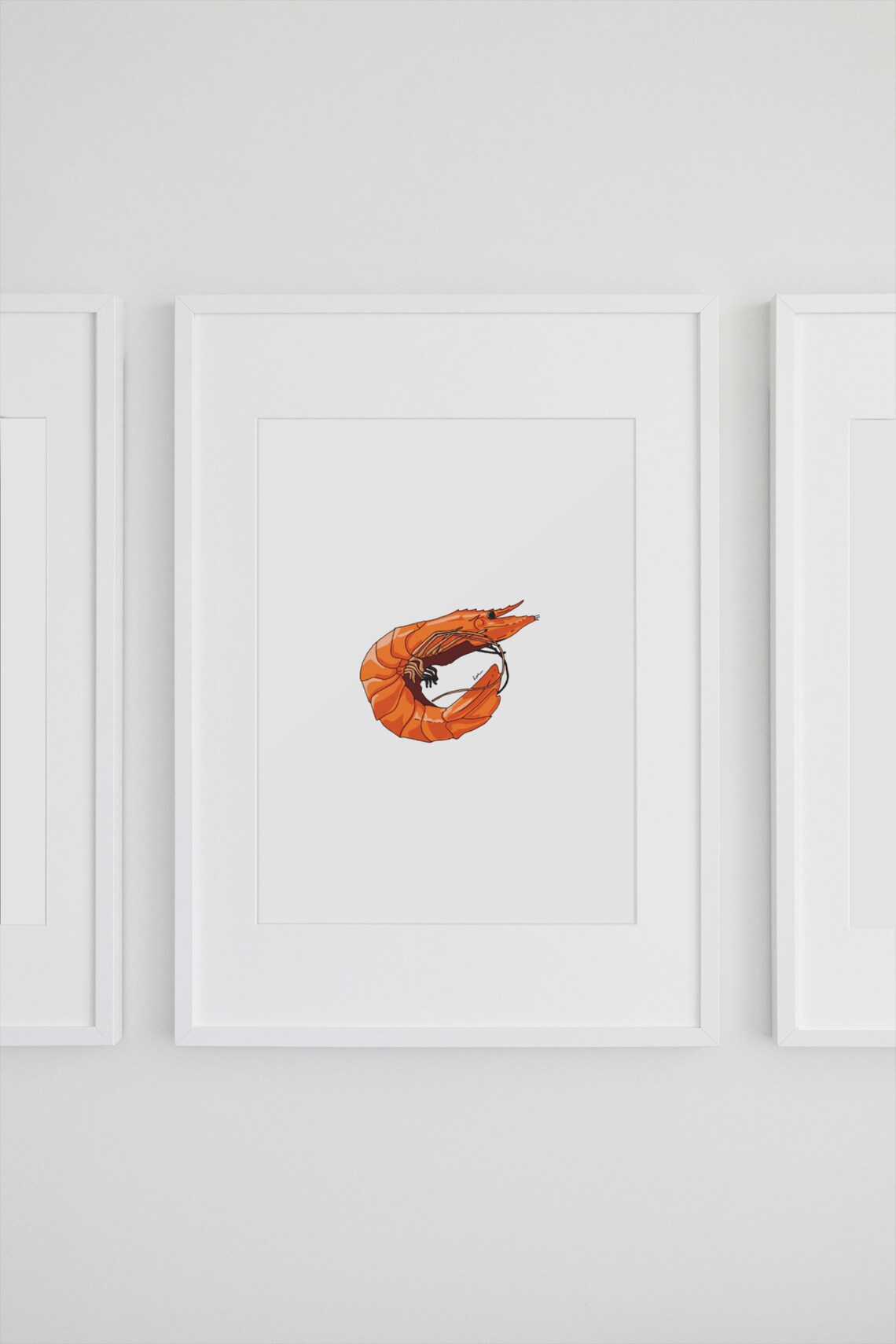 Prawn Print File Illustration, Australian Food Fun