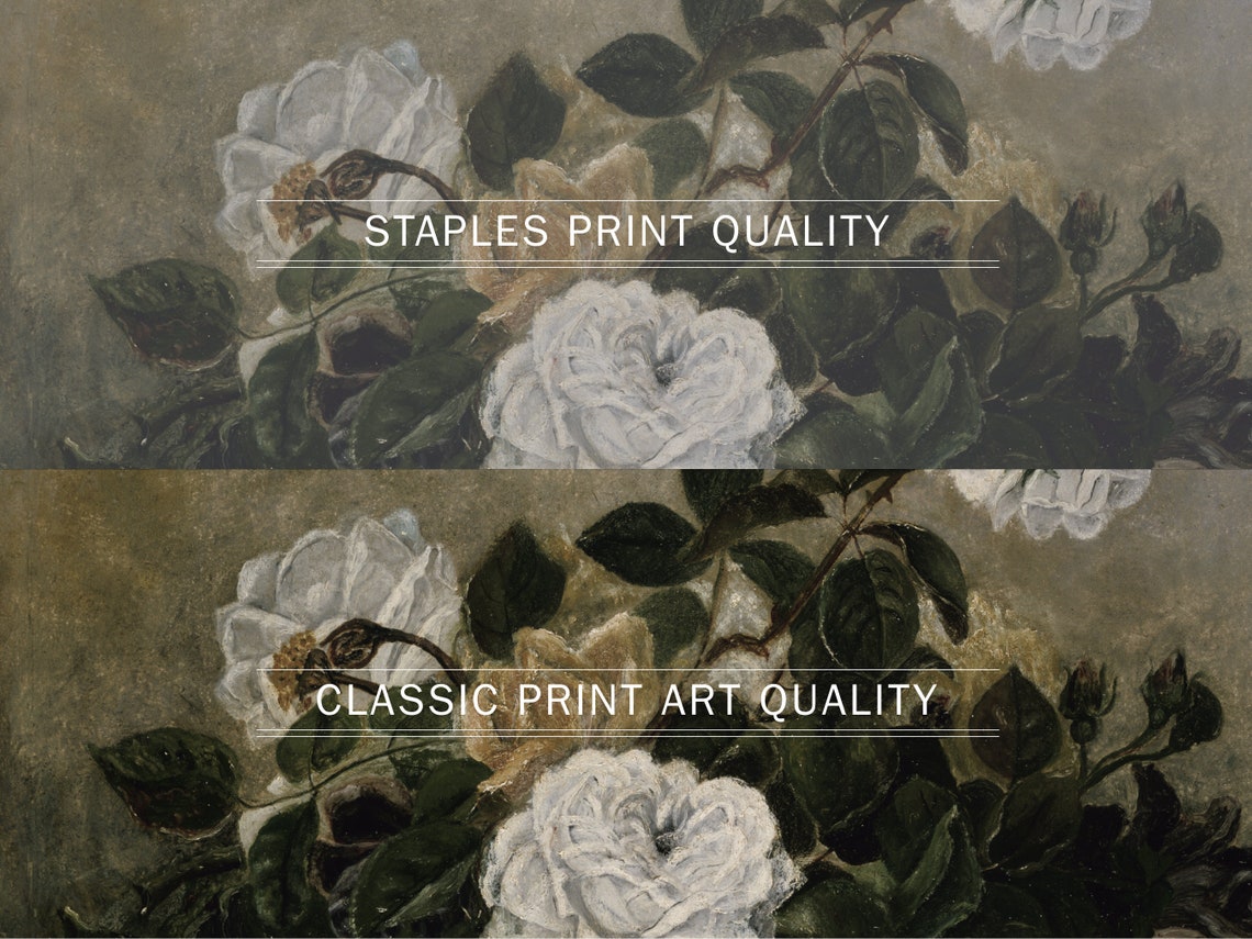 Flower Bouquet - Classic Floral Art - Image 3