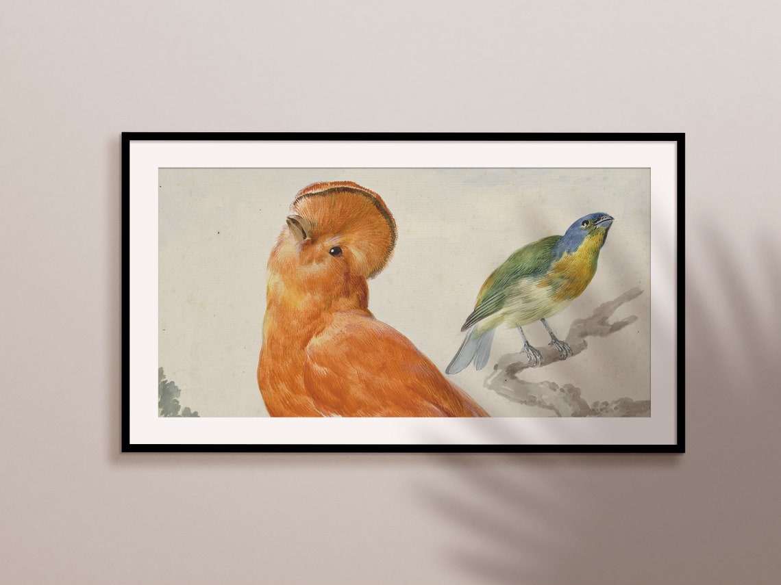 Vintage Exotic Birds Illustration Orange and Blue Bird Pair Art Print - Image 2